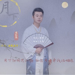 月下思红颜 (DJ沈念版)