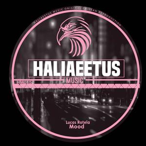 Raptor (Original Mix)