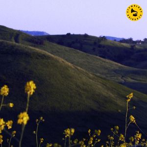 Inwood Improv - Rancho