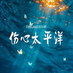伤心太平洋 (DJ默涵版伴奏)封面