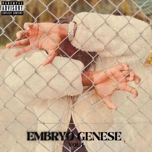 EMBRYOGENESE (Explicit)