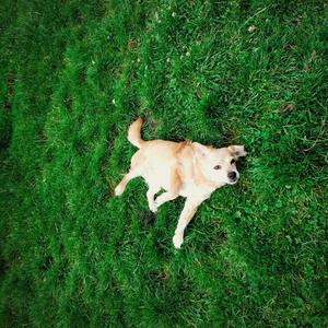 Pending Miracle (Live in Paris, Centre Ken Saro-Wiwa|Live|Explicit)