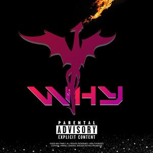 WHY (Explicit)