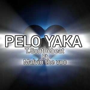 PELO yaka (feat. Malvin the voc)