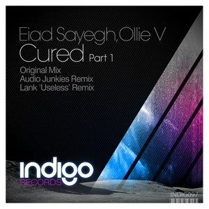 Cured (Lank 'Useless' Remix)