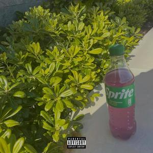 Geekin' (feat. Shamee) (Explicit)