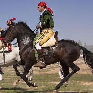 The Escape / La huida