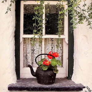 not even a warning? (Explicit)