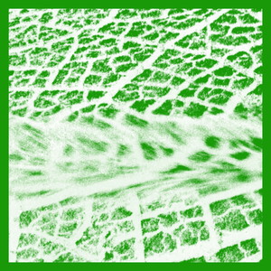 Dead Cat on the Dinner Table