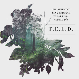 T.E.L.D.