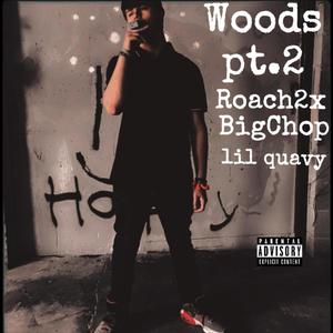 WOODS Pt. 2 (feat. BigChop & lil quavy) [Explicit]