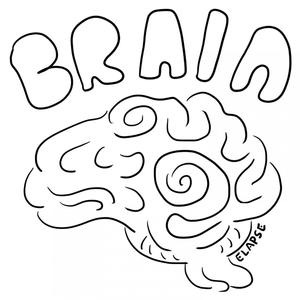 Brain