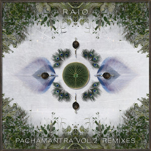 Pachamantra Vol. 2 (Remixes)