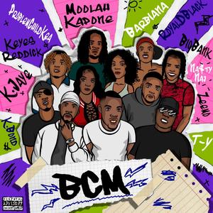 Introducing. (feat. Moolah Kapone, T-Young, BigBank, RoyalDBlack, Naj, Barbiana, Zeemo, K.Jaye, Kion Reddick & K.Bond) (Explicit)