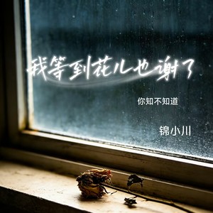 我等到花儿也谢了（你知不知道）