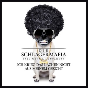 Ich krieg das Lachen nicht aus meinem Gesicht (Original Polkamix)
