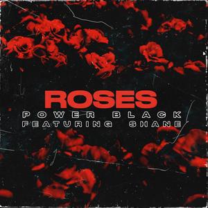Roses (feat. Shane)