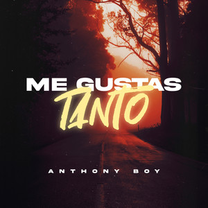 Me Gustas Tanto