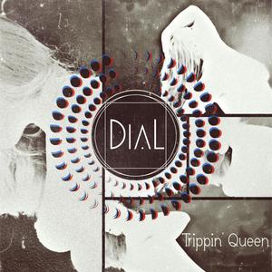 Trippin' Queen Remixes (Explicit)