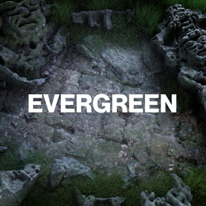 Evergreen