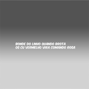 BONDE DO LINHO QUANDO BROTA OS CU VERMELHO VIRA COMANDO ROSA (Explicit)