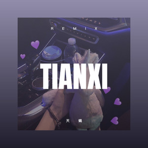 草原情哥哥 (DJ版)