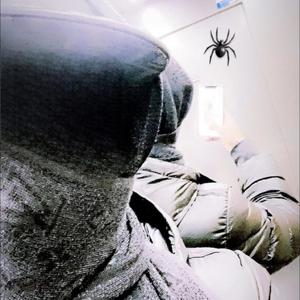 Farcir MAP (feat. l'araignée) (Explicit)