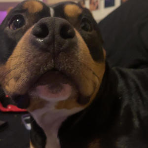 Iont got no one else (Explicit)