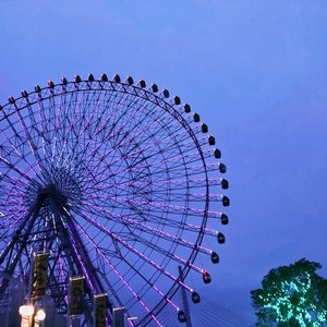 平行不交叉