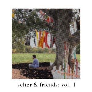 seltzr & friends: vol. 1 (Explicit)