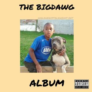 THE BIG DAWG ALBUM (Explicit)