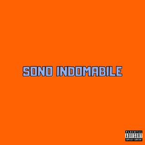 SONO INDOMABILE (feat. ICE flex)