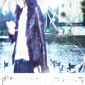 (?°) rentre il commence à faire froid