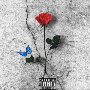 BEAT THE ODDS (Explicit)