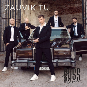 Zauvik tu