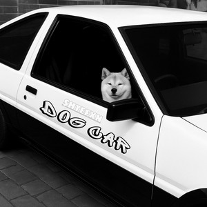 Dog Car