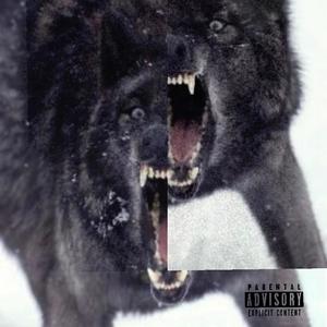 Wolves Coming For Me (Explicit)