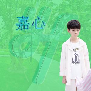 嘉心 (孙嘉锴12岁生日原创应援曲)