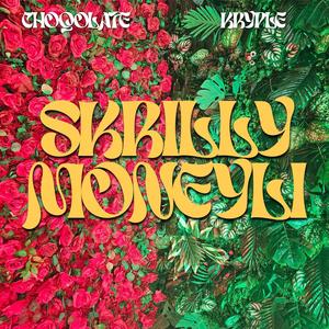 Skrilly Moneyli (Explicit)