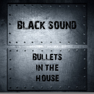 Bullets in the House