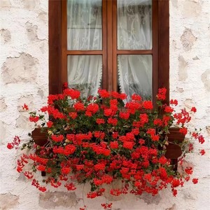 Eppure sentire（风驶过的声音是）