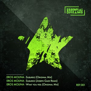 What You Feel (Original Mix)