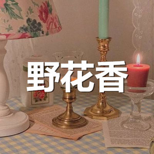 沈珍瑶 - 对不起我爱你 (实惠版)