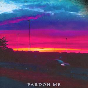 Pardon Me (feat. Quaan, RVRLND & Bad-Type)