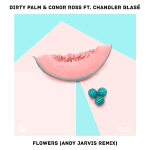 Flowers (Andy Jarvis Remix) (Andy Jarvis Remix)