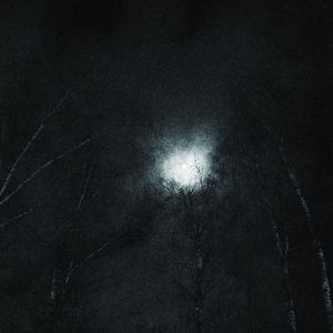 заберу (Explicit)