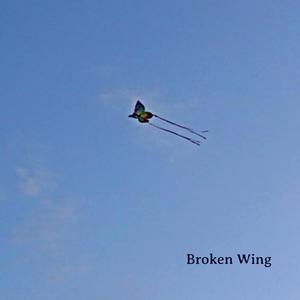 Broken Wing