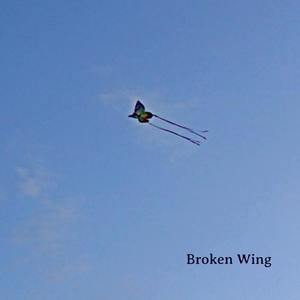 Broken Wing