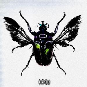 Black Beatles (feat. IDY bran) (Explicit)