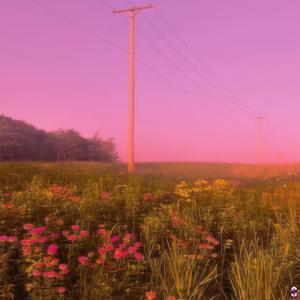 you bloom more than flowers